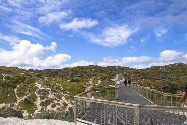 �µ�����