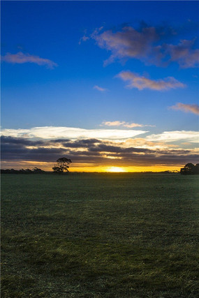 ������Ȼ���