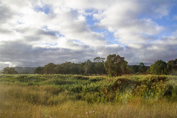 ������԰