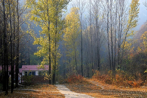 ����ɽ��