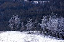 ���˰��붬��ɽ��