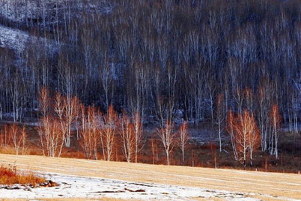 ��ɫ������ɫ����