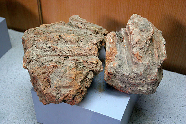 �����������п�