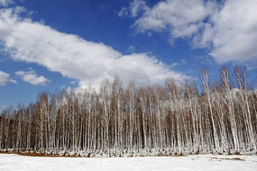 �������ͤͤ����