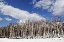 �������ͤͤ����