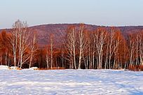 �ֺ�ѩԭ������