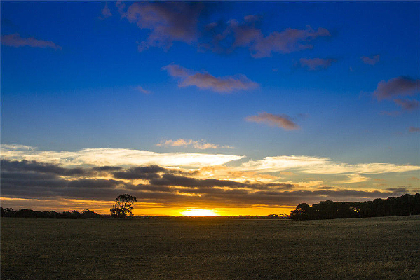 ���˵�����