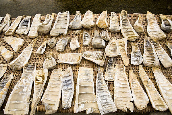 ��ɹ����