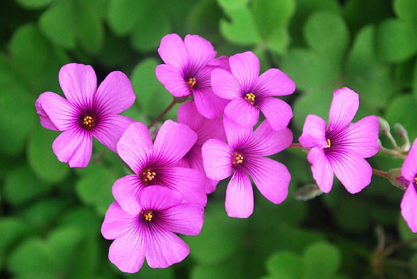 ���ݡ�ֲ���д