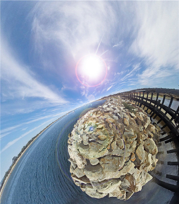 ʯͷ�ϵĺ���