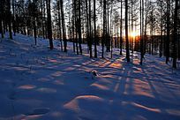 ѩ������