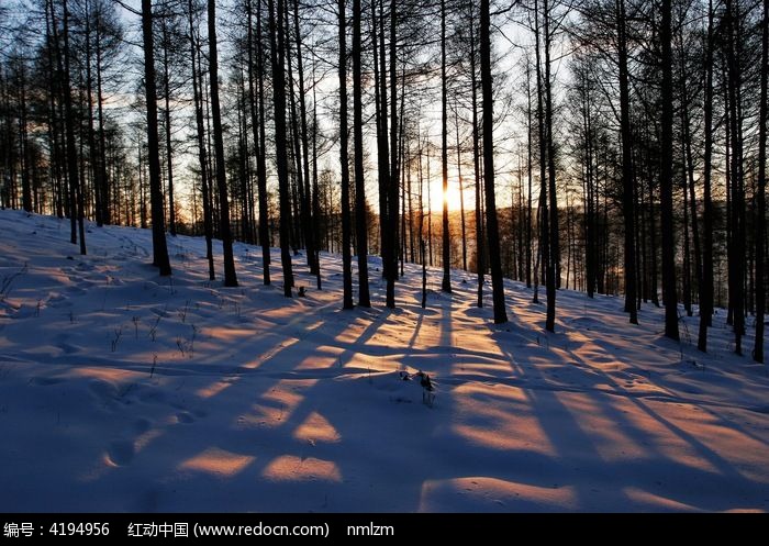 ѩ��Ϧ��ͼƬ