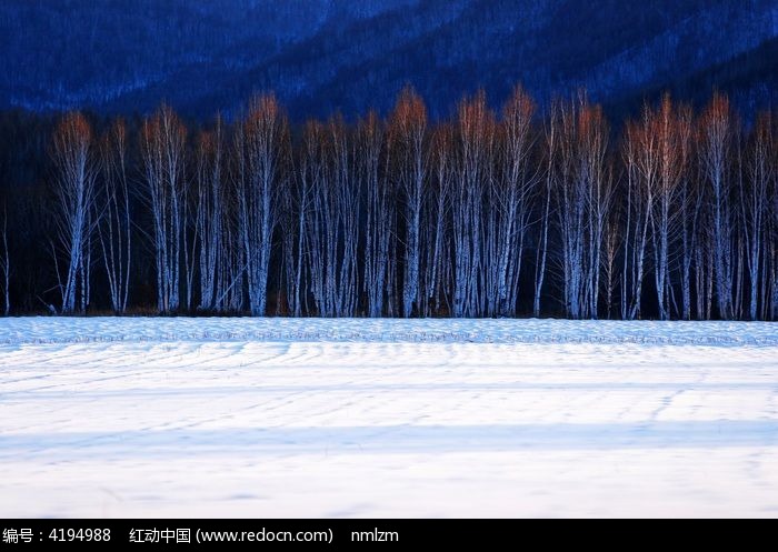 ѩԭ�ϵİ�����ͼƬ