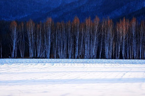 ѩԭ�ϵİ�����