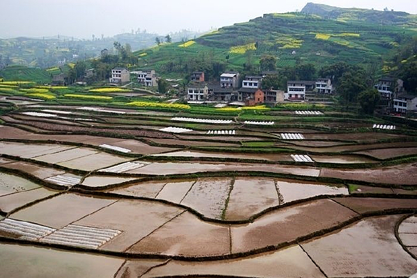 �������