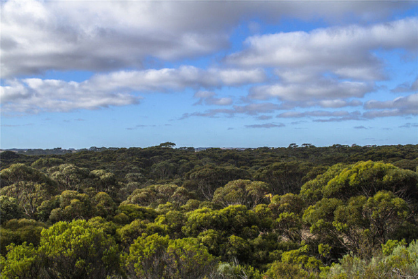 Ұ�������