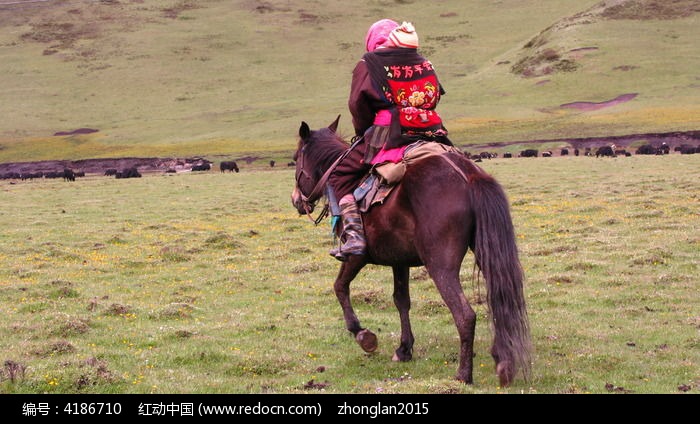 ��ԭ�������ϵ�ĸ��ͼƬ