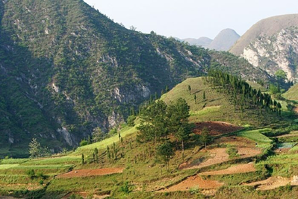 ������԰