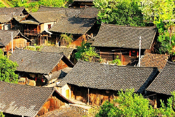 ǭ�������