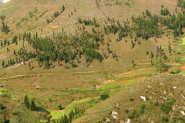 ǭ������Ȼ���