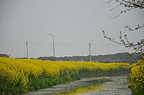 �ӱߵ��Ͳ˻�