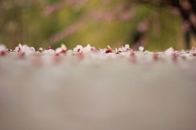 ӣ������