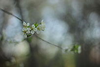 �����һ�