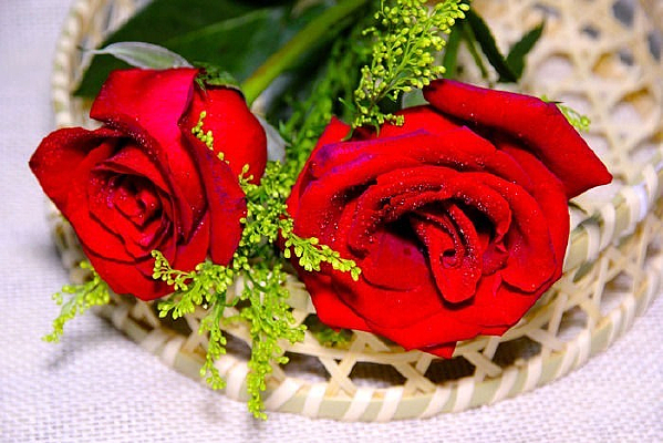 һ����õ��