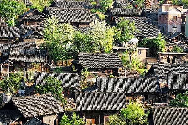 ɽ��ũ�����