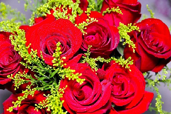 ��Ϧ�ɿ���