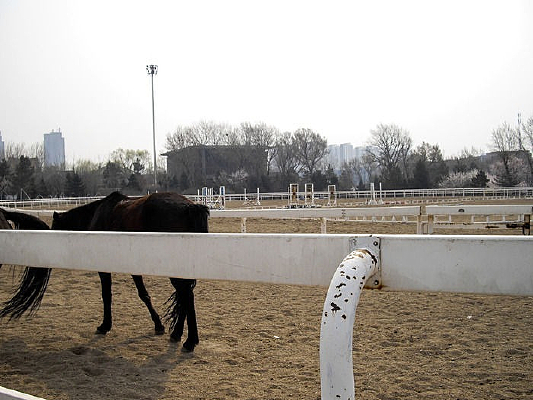 �����ϵ���