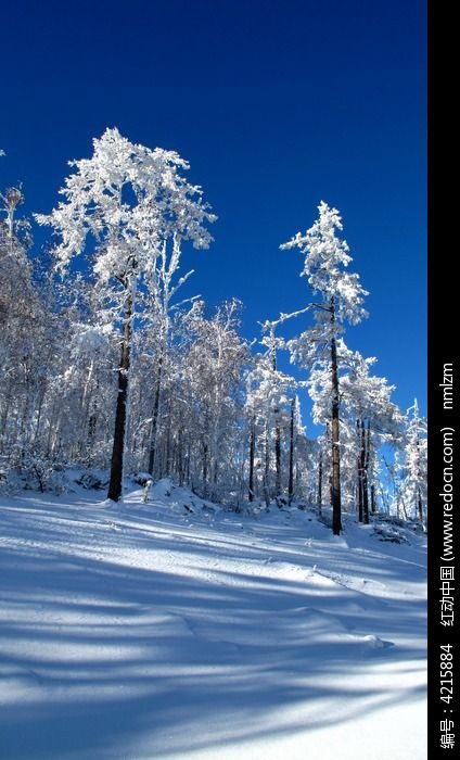 ѩ֮����ͼƬ