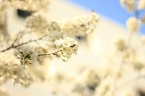 ���ʵ�ӣ��