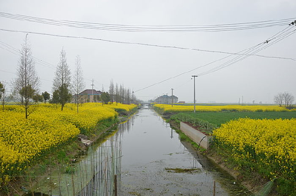 һ������