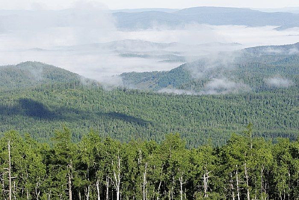 �������峿