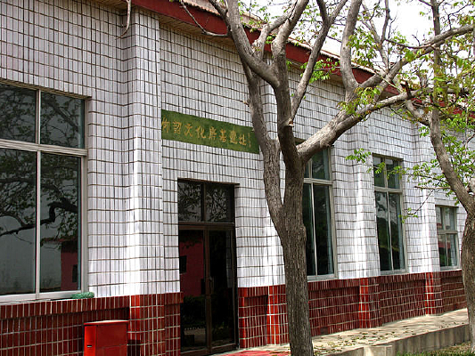 ֣�� �����Ļ�������ַ