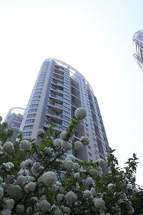 ����¥��