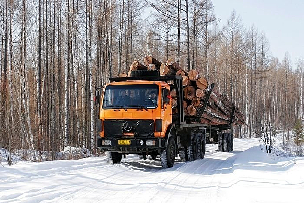 �����˲ĳ�