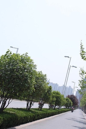 ��·������