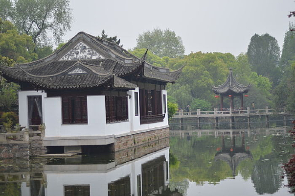 �ӱ�ľ����