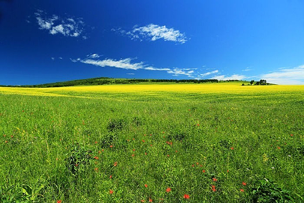 Ұ��������컨�ݷ羰