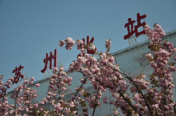 ����ӣ��