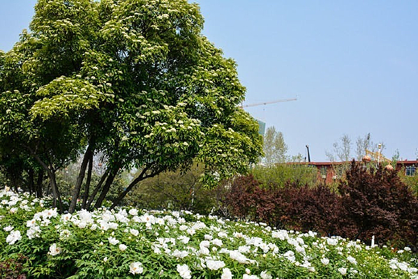 ������ĵ��