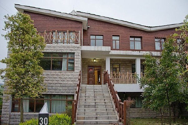 �Ƶ�������