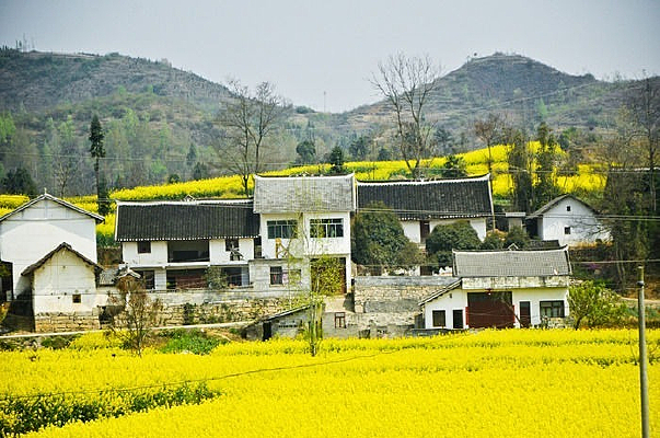 ������Ĵ�ׯ