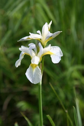 �׻�����