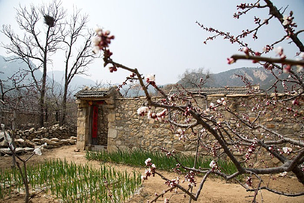 ��ƽ����