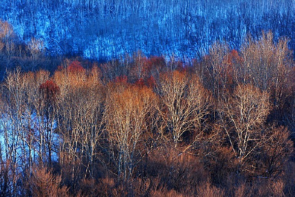 ����ɽ������