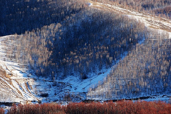 ����ɽϦ��