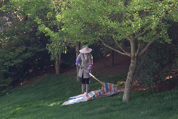 ����������Ա